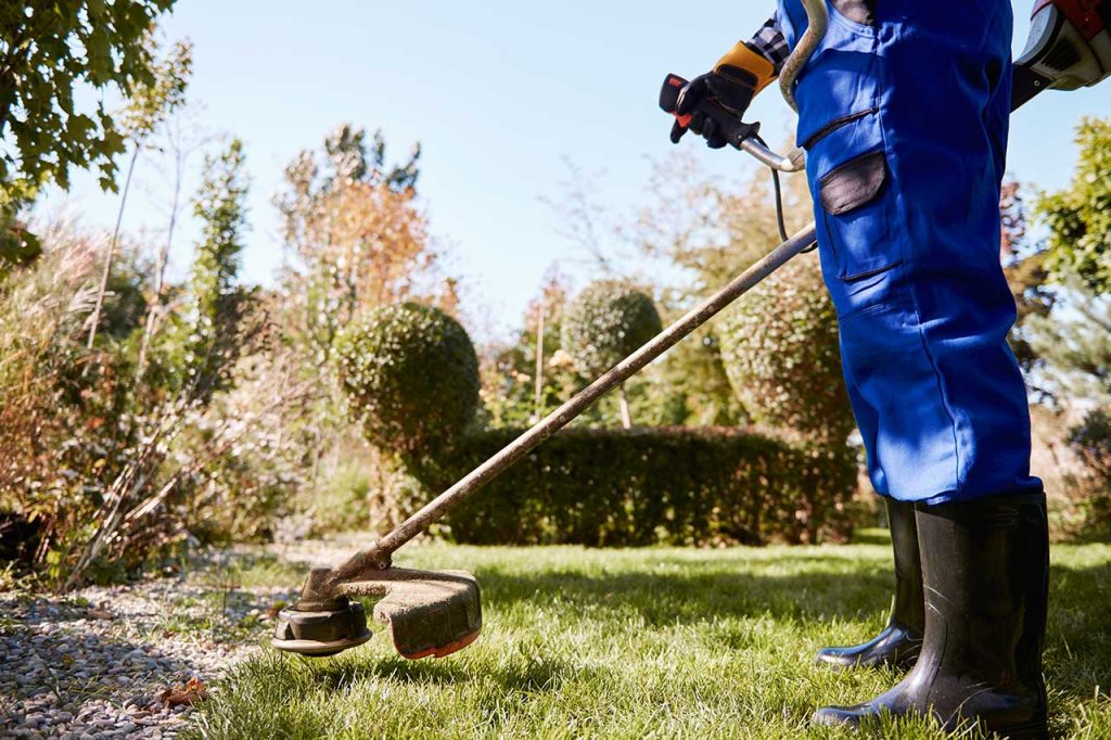 Garden-Service-Centurion-1024x682